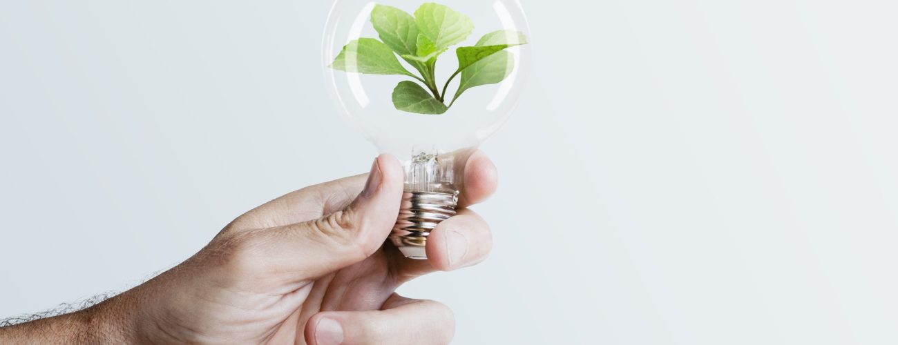 Sustainable energy campaign hand holding tree light bulb media remix